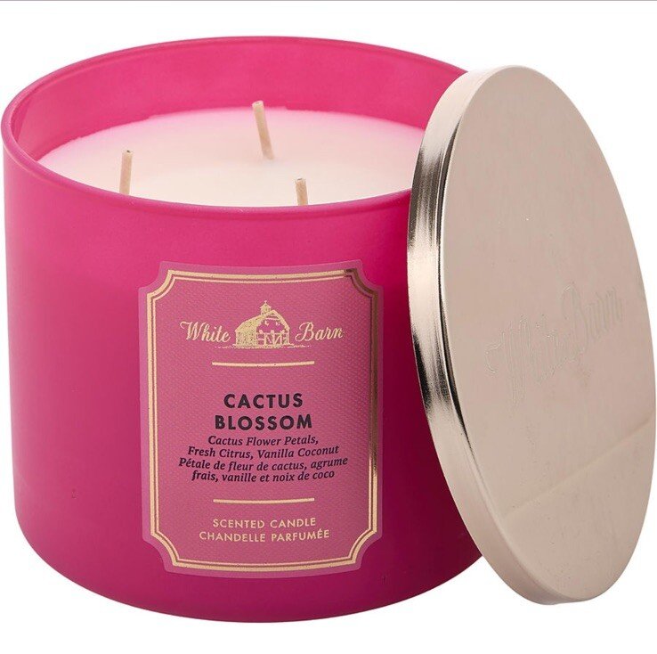 White Barn Cactus Blossom Premium 3-Wick Candle