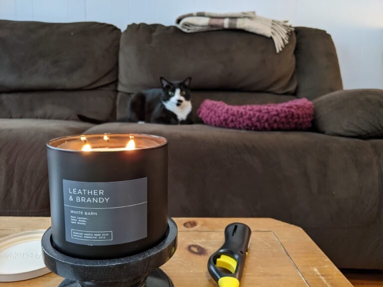 Leather and Brandy Bath and Body Works Premium 3-Wick Scented Candle