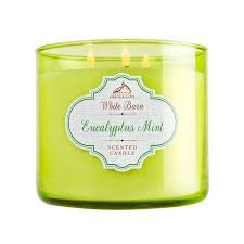 White Barn Eucalyptus Mint Travel Size Candle
